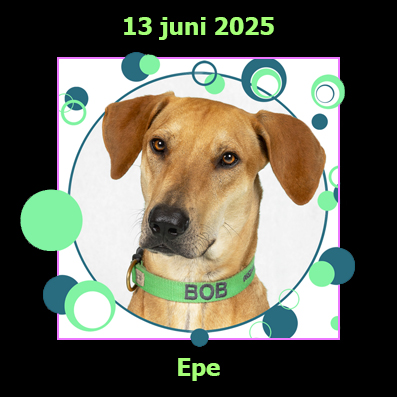 13 juni 2025