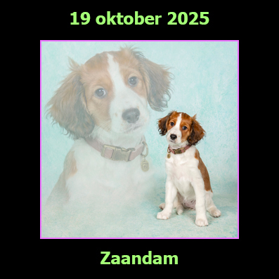 19 oktober 2025