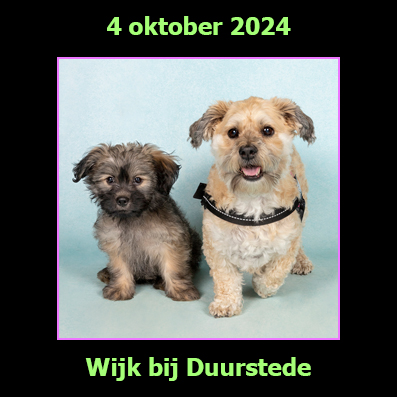 4 oktober 2024