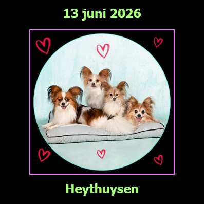 13 juni 2026