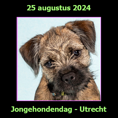 25 augustus 2024