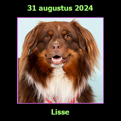 31 augustus 2024